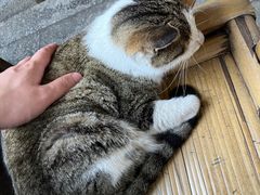 -悟饮门市景店