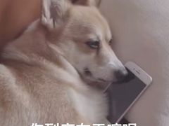 -永旺梦乐城国际商城(北清路店)