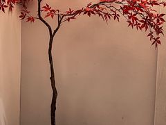 -有茶空间(万科金色半山店)