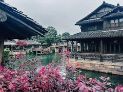 -乌镇景区