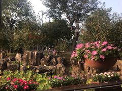 -南通洲际绿博园