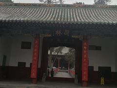 -关林
