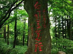 -庐山风景区花径公园