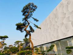 -罗红摄影艺术馆