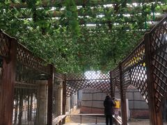 -大汗行宫园林餐厅