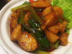 猴头菇问山药-素行天下(国投财富广场店)