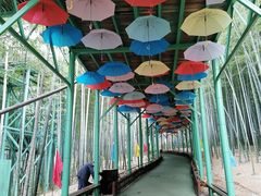 -陶祖圣境风景区