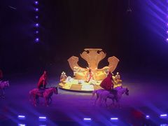 -广州长隆国际大马戏