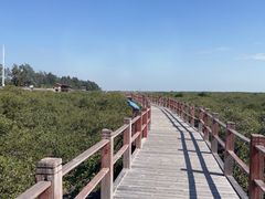 -北海金海湾红树林生态旅游区