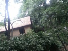 -蜀冈西峰生态公园