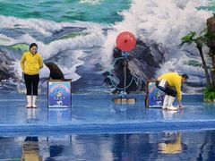 -多彩贵州城极地海洋世界