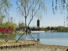 -西海子公园