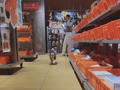 -MARSMART PETS火星宠物超市(1733店)