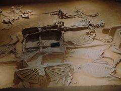 -洛阳周王城天子驾六博物馆