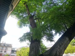 -遵义会议纪念馆