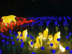 -杭州野生动物世界