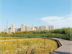 -永定河休闲森林公园