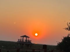 -北海金海湾红树林生态旅游区