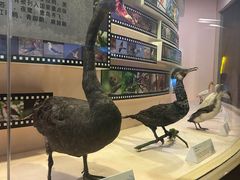 -宁波杭州湾国家湿地公园