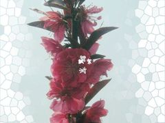 -上海市虹口区青少年活动中心(欧阳路)