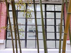 -胶囊画廊