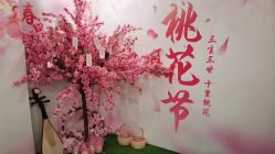 点击看大图 -玛妮雅科技纤体美容