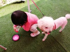 -小鱼草莓采摘园农家乐·小鱼餐厅