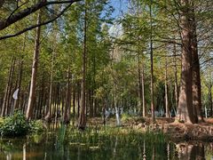 -捞渔河湿地公园