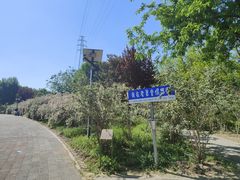 -老君堂公园