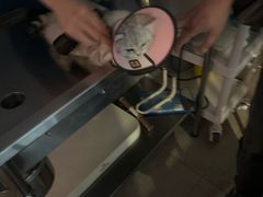 -哆趣宠物医院·眼科·内镜·急重症转诊中心(上海店)