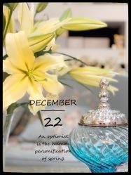 -悦色嘉丽科技美肤健康管理