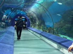 -福州罗源湾海洋世界旅游区