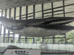 -中国（海南）南海博物馆