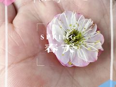 -无锡梅园公园