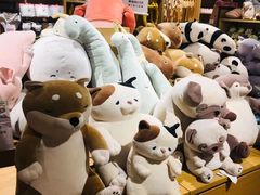 -九木杂物社(恒隆广场店)