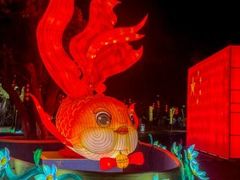 -琅岐红光湖公园