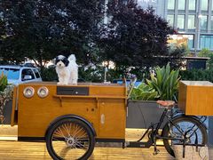 -sugarman espresso素饮糖人高新咖啡工厂