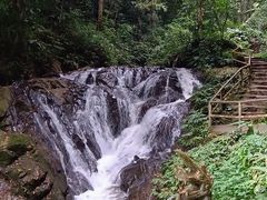 -莫里热带雨林景区