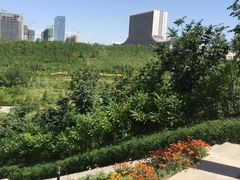 -小绿谷公园