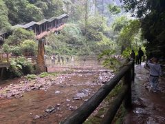 -中国大熊猫保护研究中心雅安碧峰峡基地