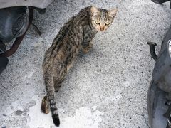 -鹅銮鼻灯塔
