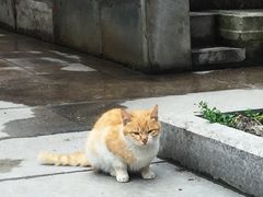 -雨花胜境