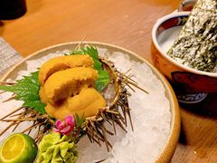 活海胆-满来寿喜烧(金虹桥店)