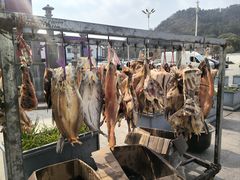 -西山人家·传统苏帮菜·家宴(木渎店)