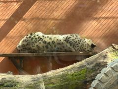 -青藏高原野生动物园