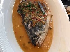 -凤凰湘语·湘粤鲜融(浦东旗舰店)