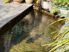 -炊烟餐厅