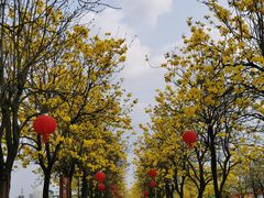 -盈香心动乐园