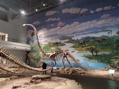 -自贡恐龙博物馆