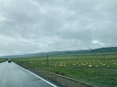 -扁都口生态休闲旅游区